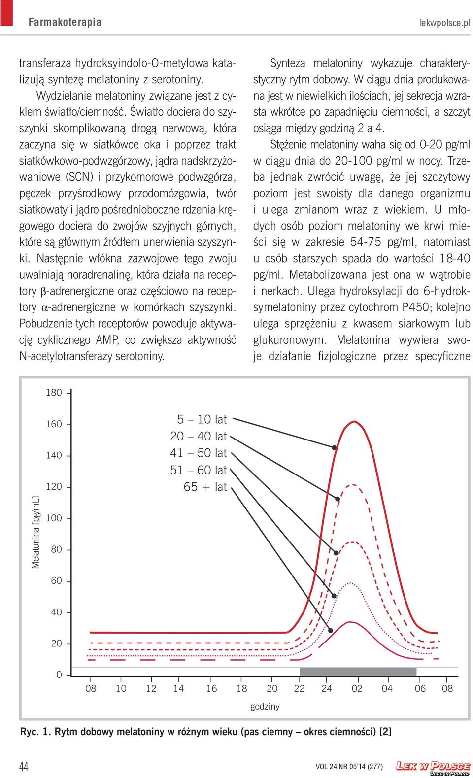 przyśrodkowy przodomózgowia, twór siatkowaty i jądro pośrednioboczne rdzenia kręgowego dociera do zwojów szyjnych górnych, które są głównym źródłem unerwienia szyszynki.