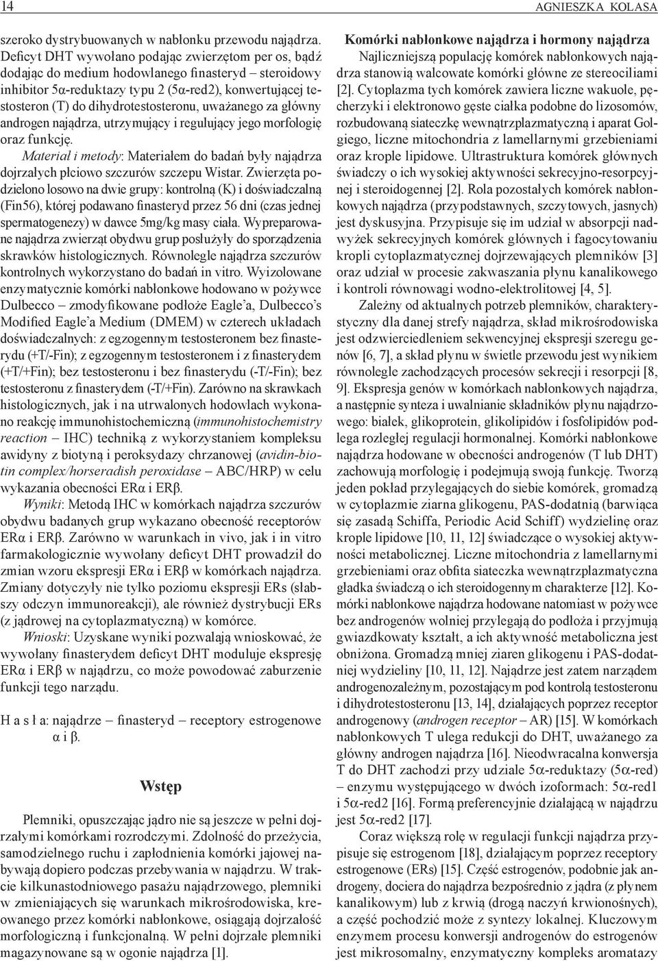 uważanego za główny androgen najądrza, utrzymujący i regulujący jego morfologię oraz funkcję. Materiał i metody: Materiałem do badań były najądrza dojrzałych płciowo szczurów szczepu Wistar.