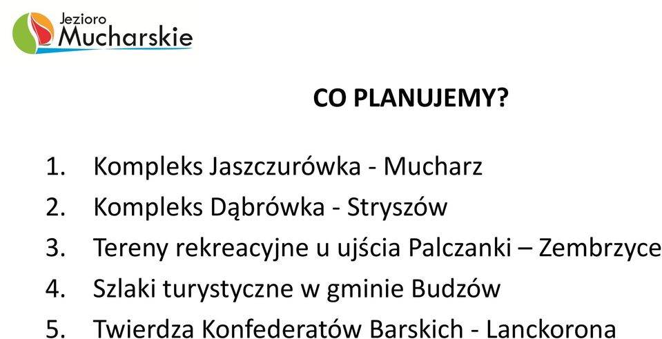 Tereny rekreacyjne u ujścia Palczanki Zembrzyce 4.