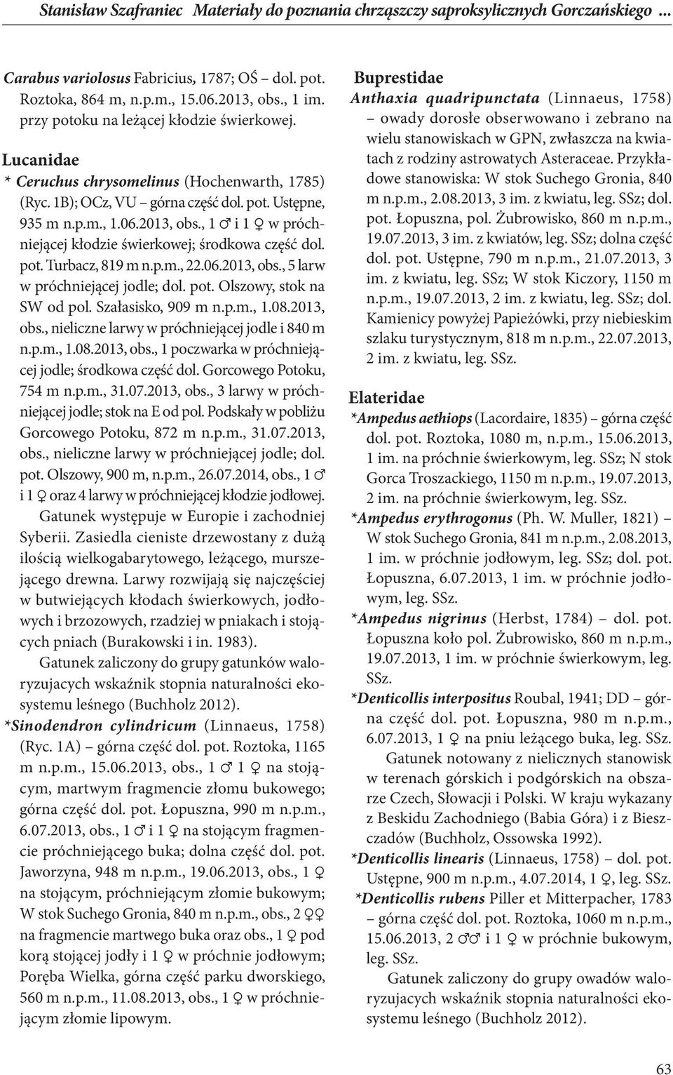 , 1 i 1 w próchniejącej kłodzie świerkowej; środkowa część dol. pot. Turbacz, 819 m n.p.m., 22.06.2013, obs., 5 larw w próchniejącej jodle; dol. pot. Olszowy, stok na SW od pol. Szałasisko, 909 m n.p.m., 1.08.