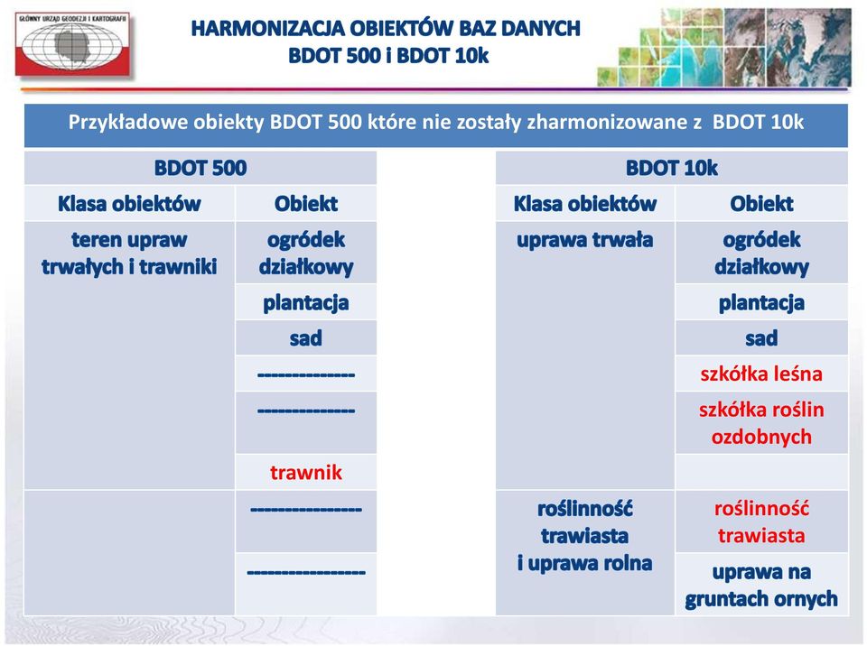 10k trawnik szkółka leśna szkółka