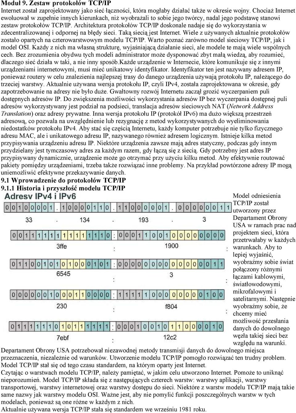 Architektura protokołów TCP/IP doskonale nadaje się do wykorzystania w zdecentralizowanej i odpornej na błędy sieci. Taką siecią jest Internet.