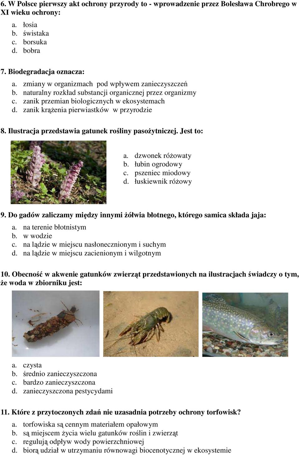 zanik krążenia pierwiastków w przyrodzie 8. Ilustracja przedstawia gatunek rośliny pasożytniczej. Jest to: a. dzwonek różowaty b. łubin ogrodowy c. pszeniec miodowy d. łuskiewnik różowy 9.