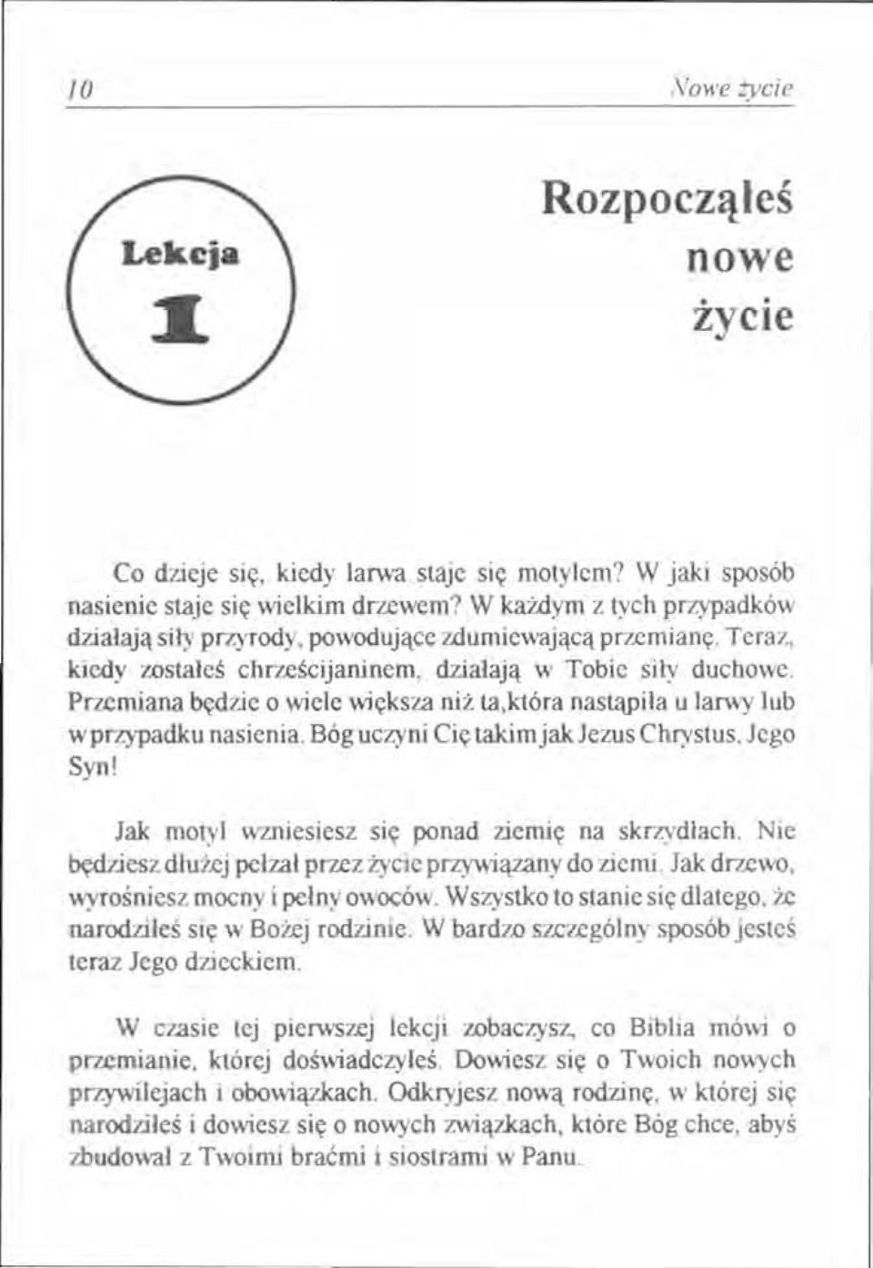 Przemiana będzie o wiele większa niż ta,która nastąpiła u lamy lub w przypadku nasienia. Bóg uczyni Cię takimjakjezus Chrystus, Jego Syn! Jak motyl wzniesiesz się ponad ziemię na skrzydłach.