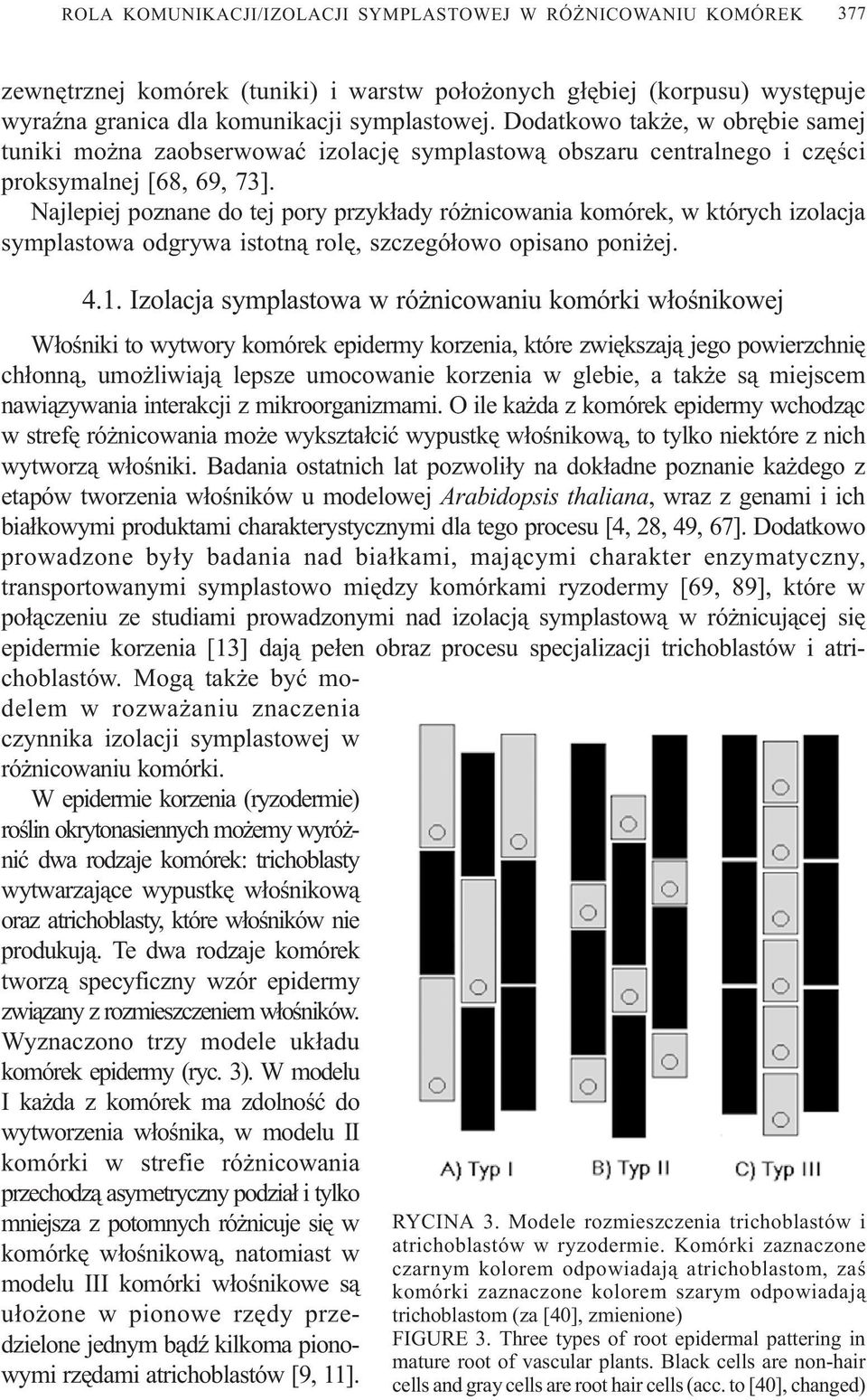 Najlepiej poznane do tej pory przyk³ady ró nicowania komórek, w których izolacja symplastowa odgrywa istotn¹ rolê, szczegó³owo opisano poni ej. 4.1.