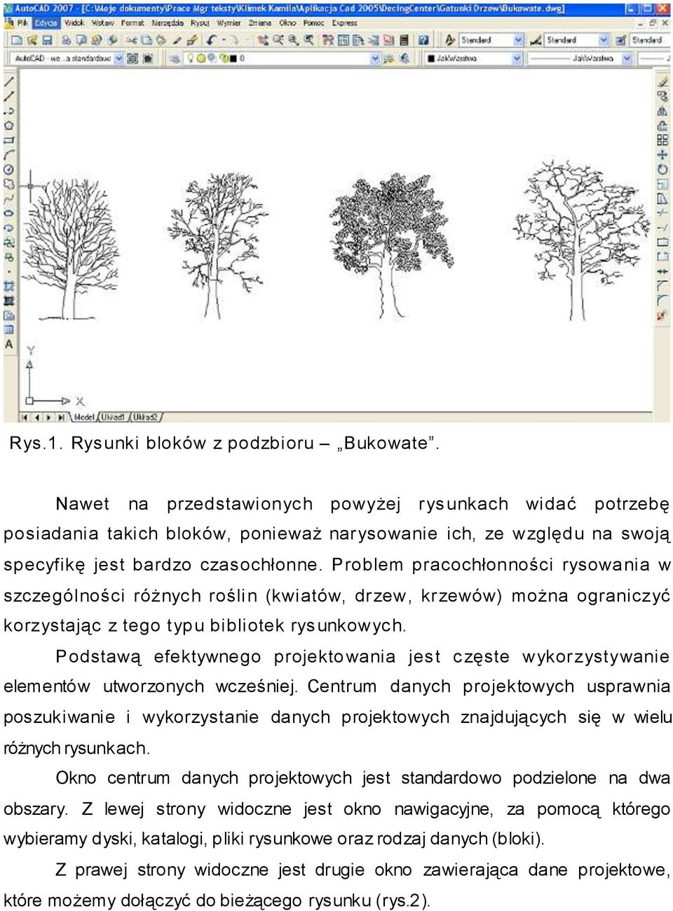 Problem pracochłonności rysowania w szczególności różnych roślin (kwiatów, drzew, krzewów) można ograniczyć korzystając z tego typu bibliotek rysunkowych.