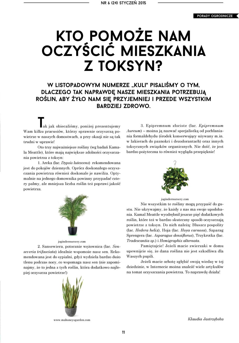 tak jak obiecaliśmy, poniżej prezentujemy Wam kilku pracusiów, którzy sprawnie oczyszczą powietrze w naszych domostwach, a przy okazji nie są tak trudni w uprawie!