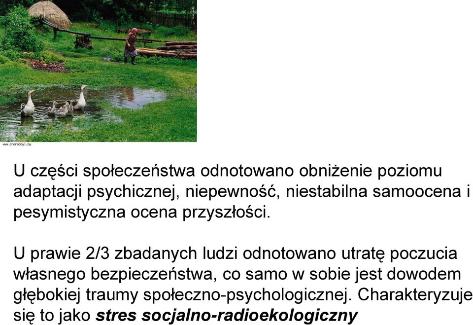 U prawie 2/3 zbadanych ludzi odnotowano utratę poczucia własnego bezpieczeństwa, co samo