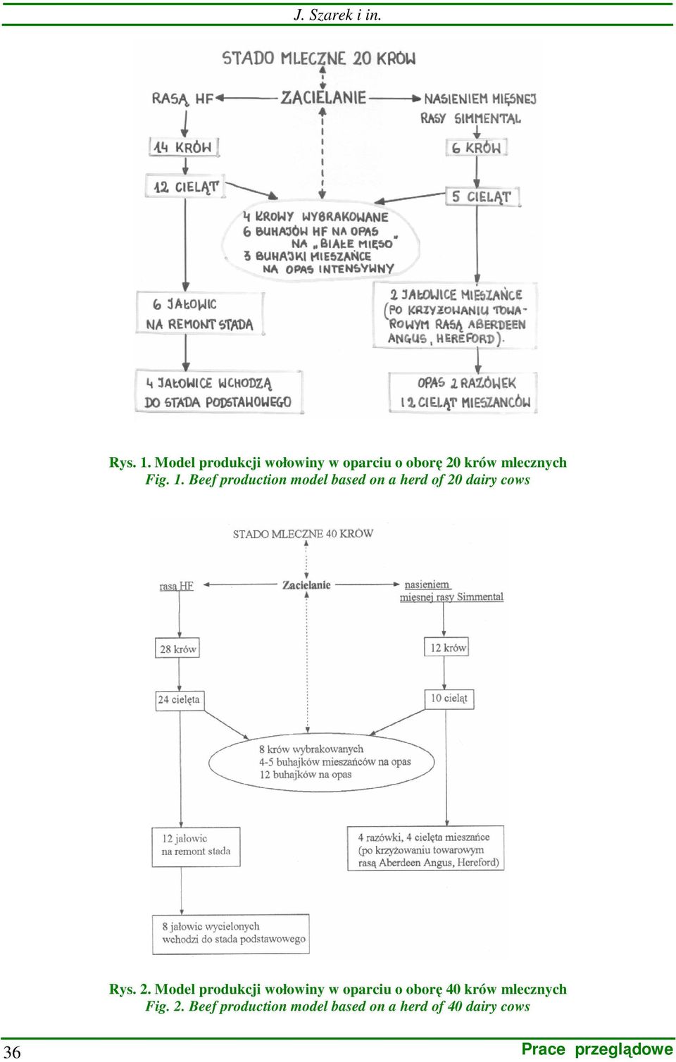 Beef production model based on a herd of 20