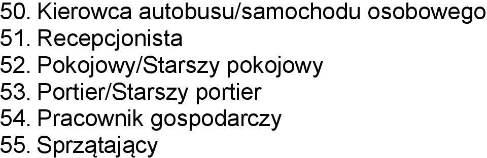 Pokojowy/Starszy pokojowy 53.