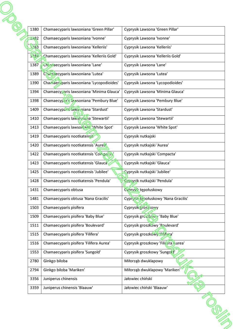 Cyprysik Lawsona 'Lutea' 1390 Chamaecyparis lawsoniana 'Lycopodioides' Cyprysik Lawsona 'Lycopodioides' 1394 Chamaecyparis lawsoniana 'Minima Glauca' Cyprysik Lawsona 'Minima Glauca' 1398