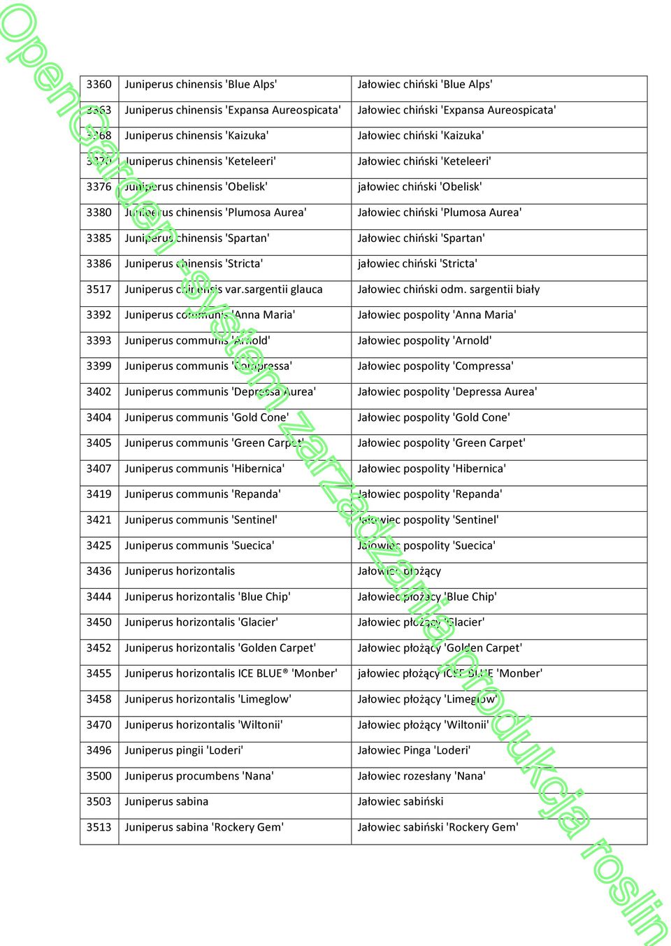 chiński 'Plumosa Aurea' 3385 Juniperus chinensis 'Spartan' Jałowiec chiński 'Spartan' 3386 Juniperus chinensis 'Stricta' jałowiec chiński 'Stricta' 3517 Juniperus chinensis var.