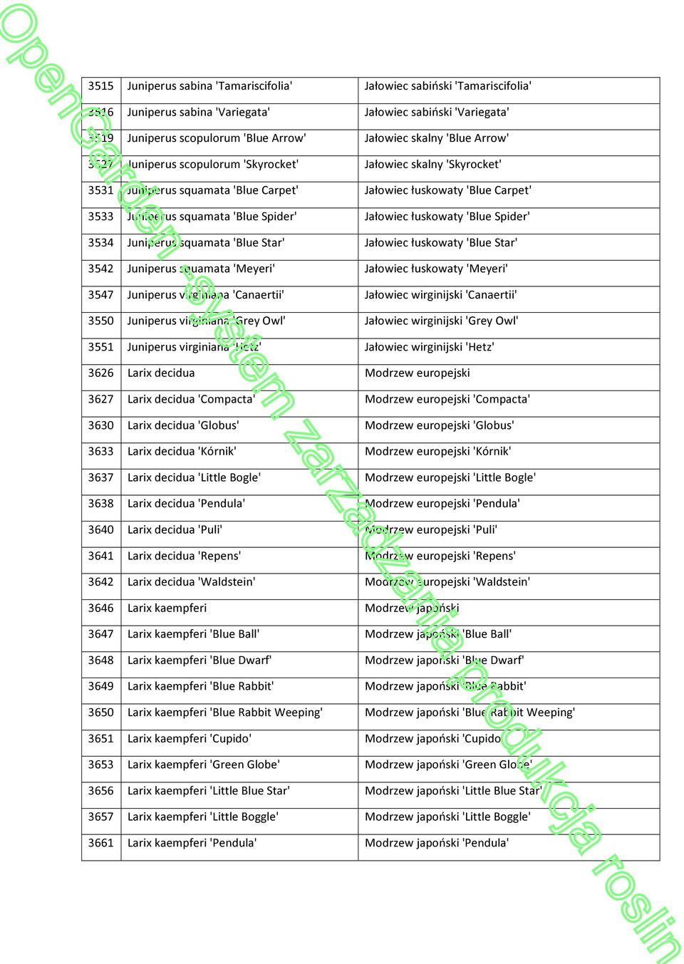 łuskowaty 'Blue Spider' 3534 Juniperus squamata 'Blue Star' Jałowiec łuskowaty 'Blue Star' 3542 Juniperus squamata 'Meyeri' Jałowiec łuskowaty 'Meyeri' 3547 Juniperus virginiana 'Canaertii' Jałowiec
