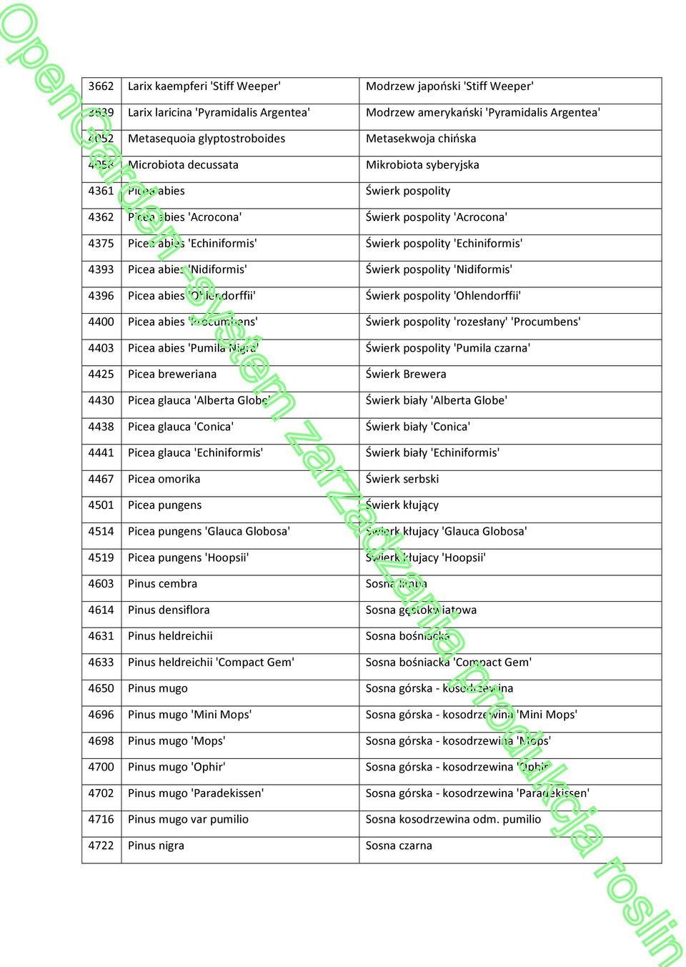 'Echiniformis' 4393 Picea abies 'Nidiformis' Świerk pospolity 'Nidiformis' 4396 Picea abies 'Ohlendorffii' Świerk pospolity 'Ohlendorffii' 4400 Picea abies 'Procumbens' Świerk pospolity 'rozesłany'