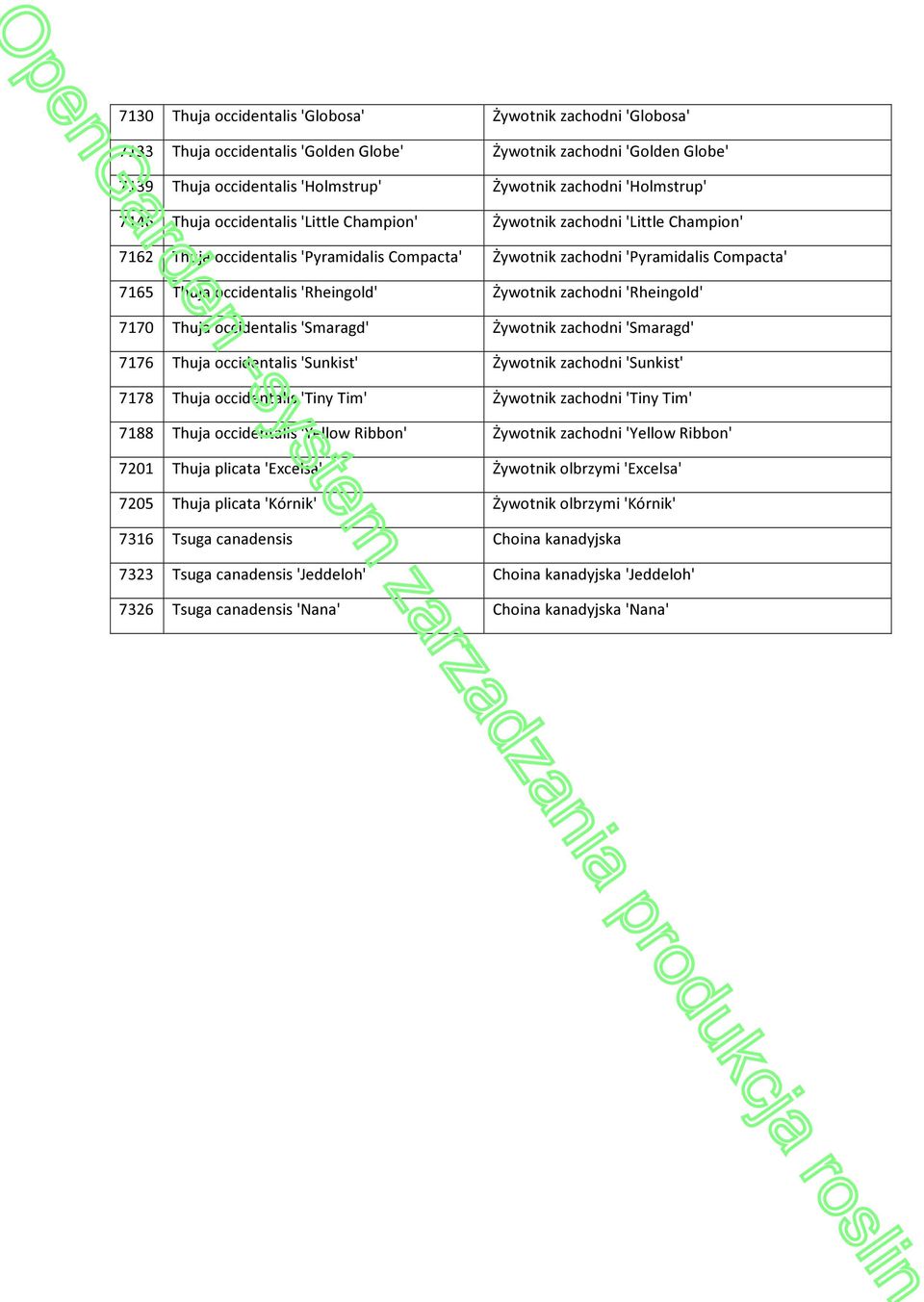 'Rheingold' Żywotnik zachodni 'Rheingold' 7170 Thuja occidentalis 'Smaragd' Żywotnik zachodni 'Smaragd' 7176 Thuja occidentalis 'Sunkist' Żywotnik zachodni 'Sunkist' 7178 Thuja occidentalis 'Tiny