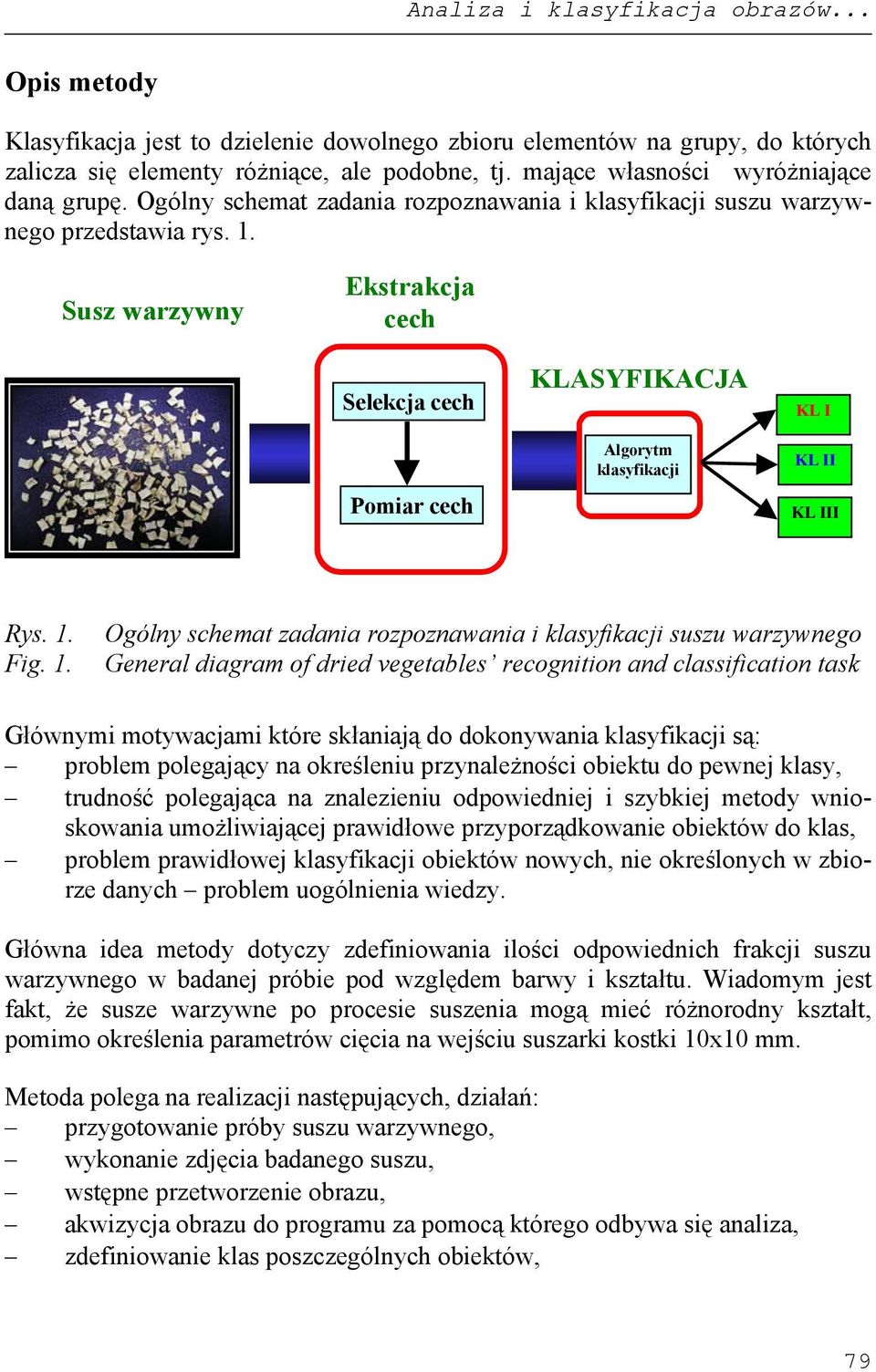 Susz warzywny Ekstrakcja cech Selekcja cech Pomiar cech KLASYFIKACJA Algorytm klasyfikacji KL I KL II KL III Rys. 1.