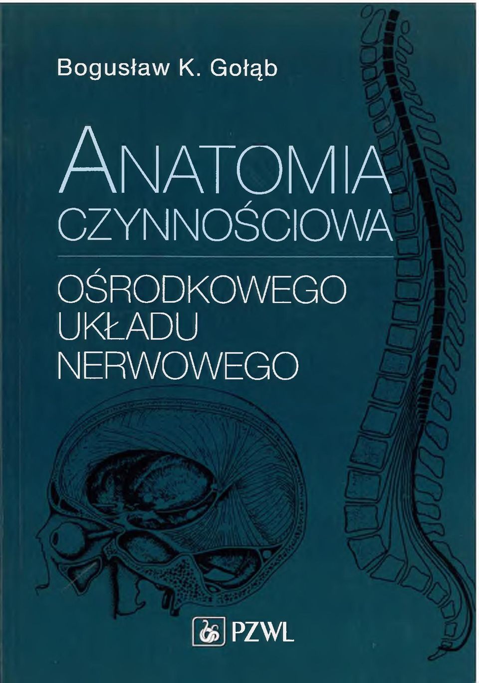 CZYNNOŚCIOWA