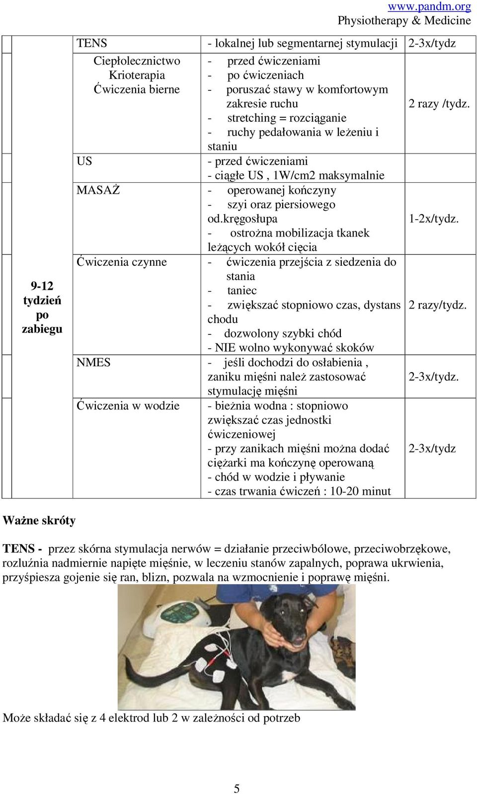 - stretching = rozciąganie - ruchy pedałowania w leżeniu i staniu - przed ćwiczeniami - ciągłe US, 1W/cm2 maksymalnie MASAŻ - operowanej kończyny - szyi oraz piersiowego od.