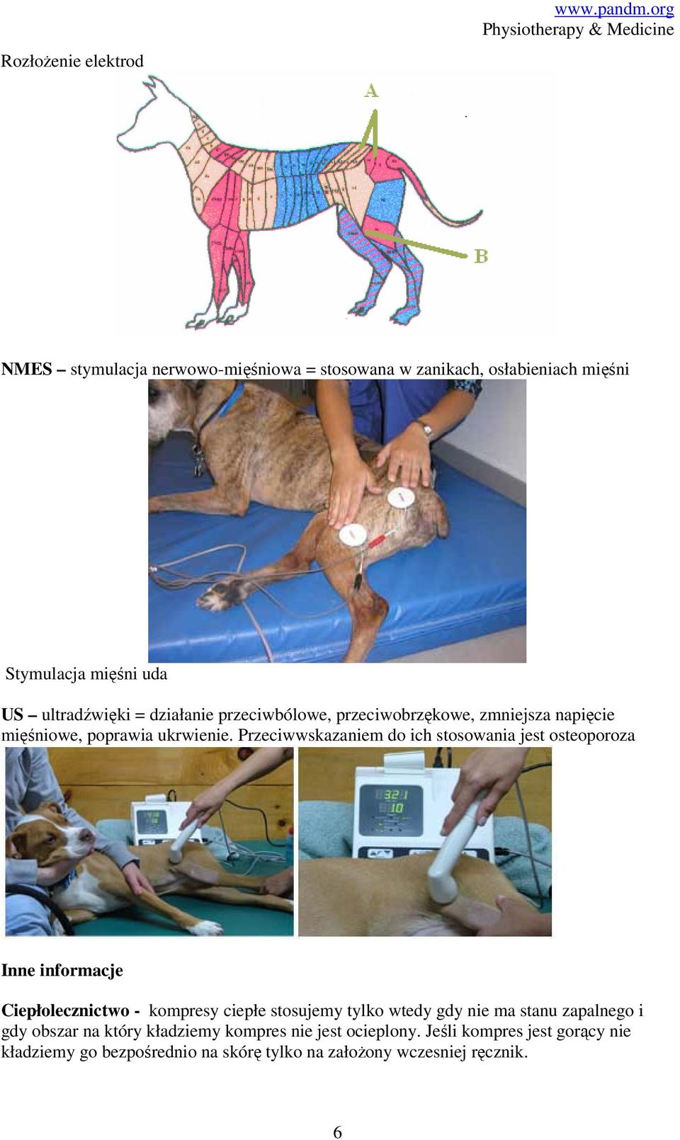 przeciwbólowe, przeciwobrzękowe, zmniejsza napięcie mięśniowe, poprawia ukrwienie.