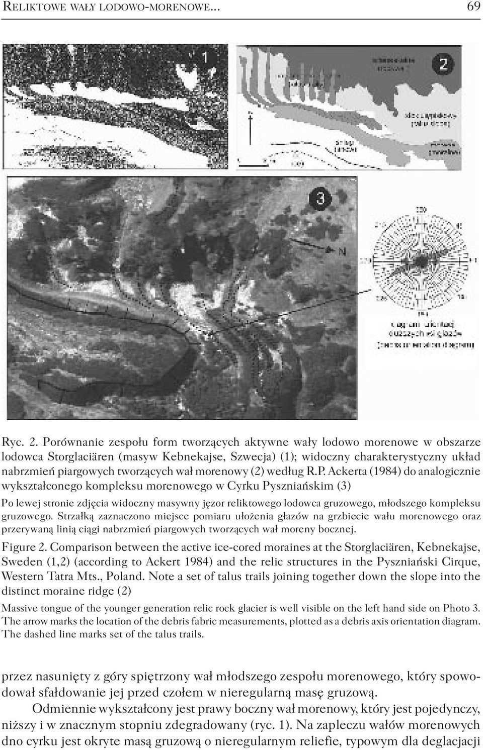 morenowy (2) według R.P.