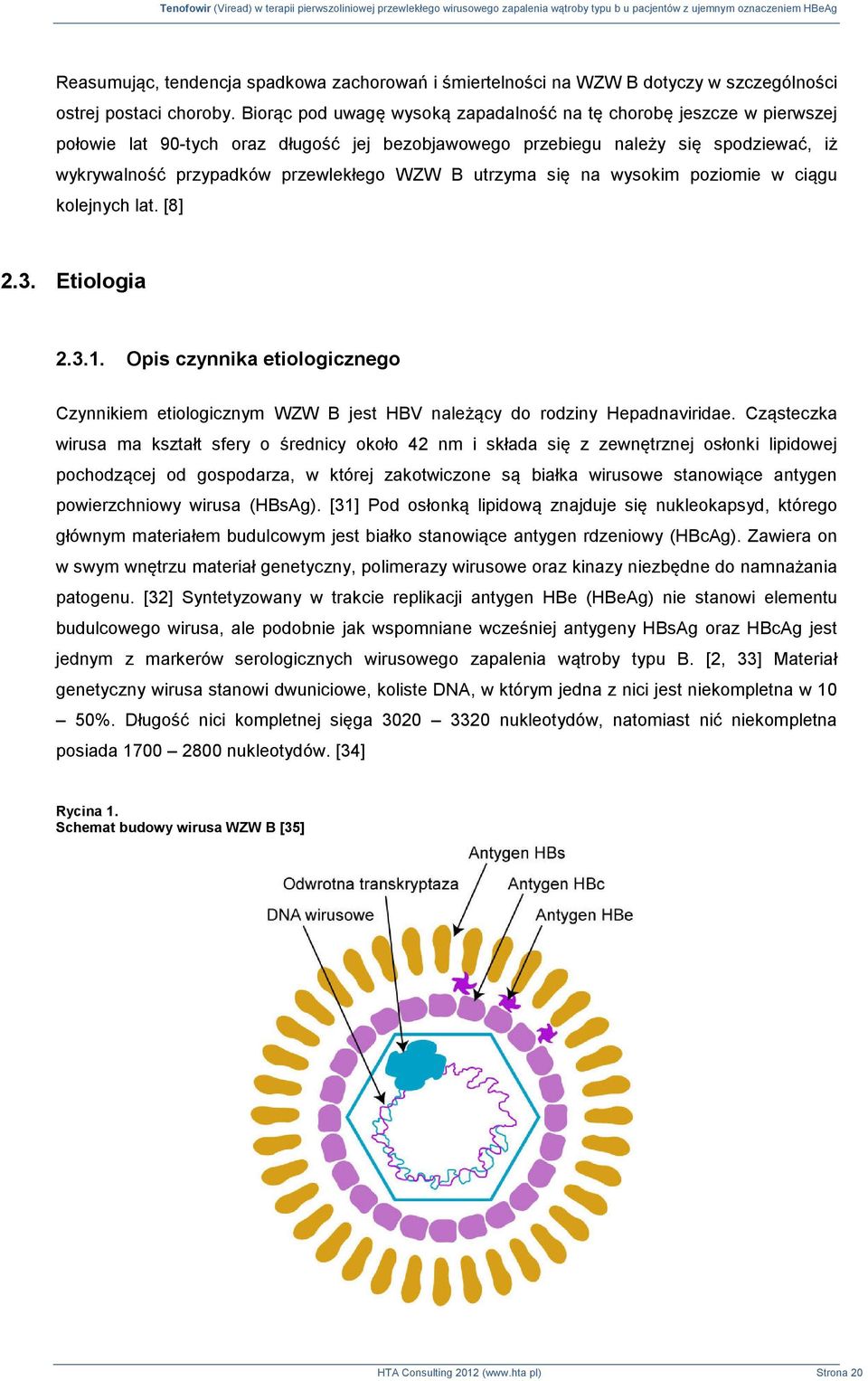 utrzyma się na wysokim poziomie w ciągu kolejnych lat. [8] 2.3. Etiologia 2.3.1. Opis czynnika etiologicznego Czynnikiem etiologicznym WZW B jest HBV należący do rodziny Hepadnaviridae.