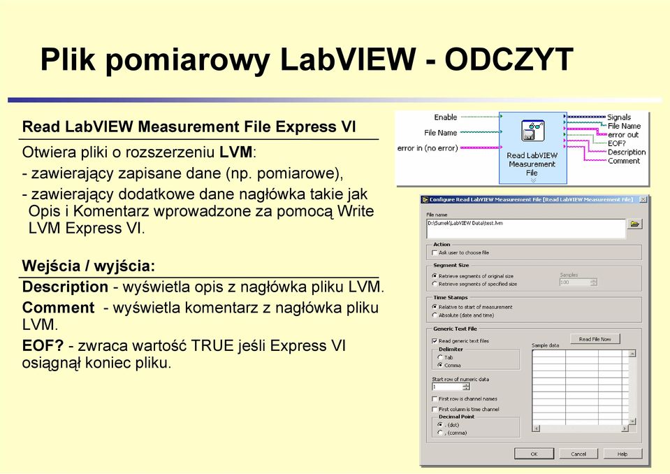 pomiarowe), - zawierający dodatkowe dane nagłówka takie jak Opis i Komentarz wprowadzone za pomocą Write LVM