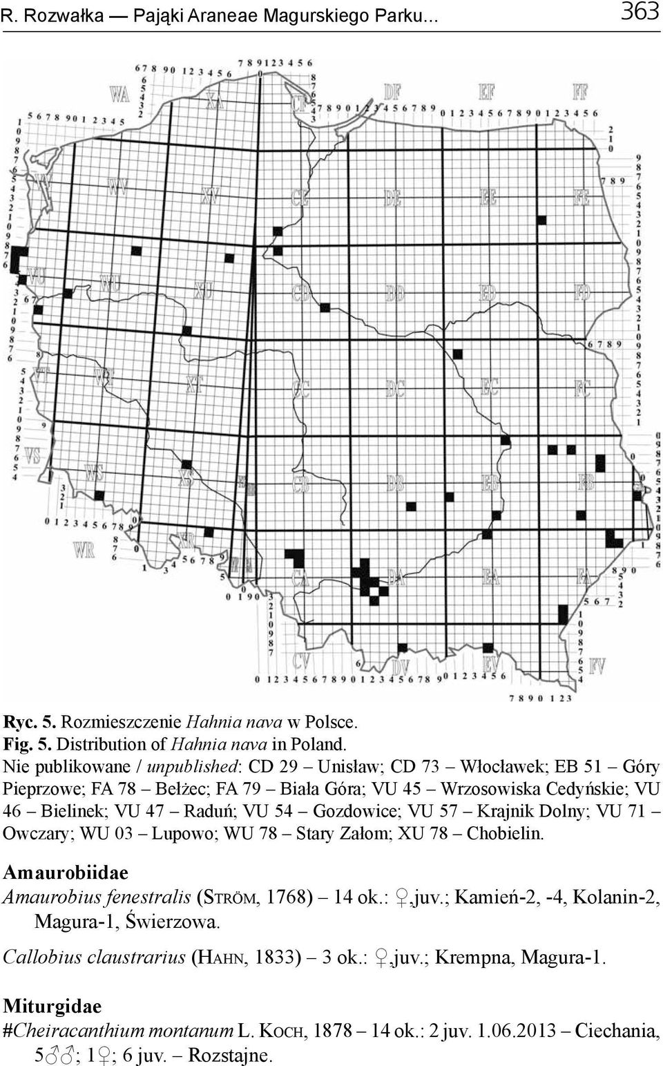 54 Gozdowice; VU 57 Krajnik Dolny; VU 71 Owczary; WU 03 Lupowo; WU 78 Stary Załom; XU 78 Chobielin. Amaurobiidae Amaurobius fenestralis (Ström, 1768) 14 ok.:,juv.