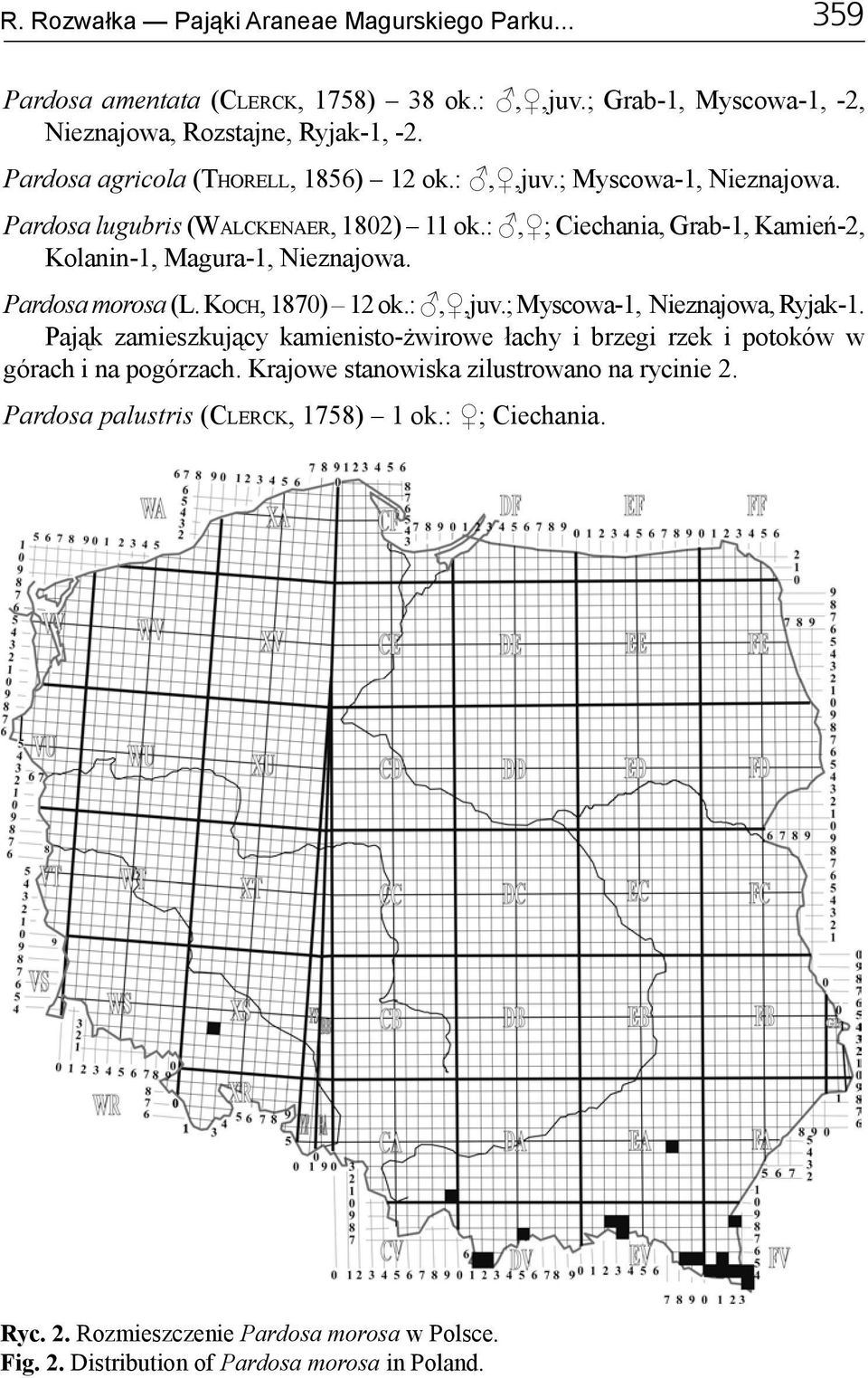 :, ; Ciechania, Grab-1, Kamień-2, Kolanin-1, Magura-1, Nieznajowa. Pardosa morosa (L. Koch, 1870) 12 ok.:,,juv.; Myscowa-1, Nieznajowa, Ryjak-1.