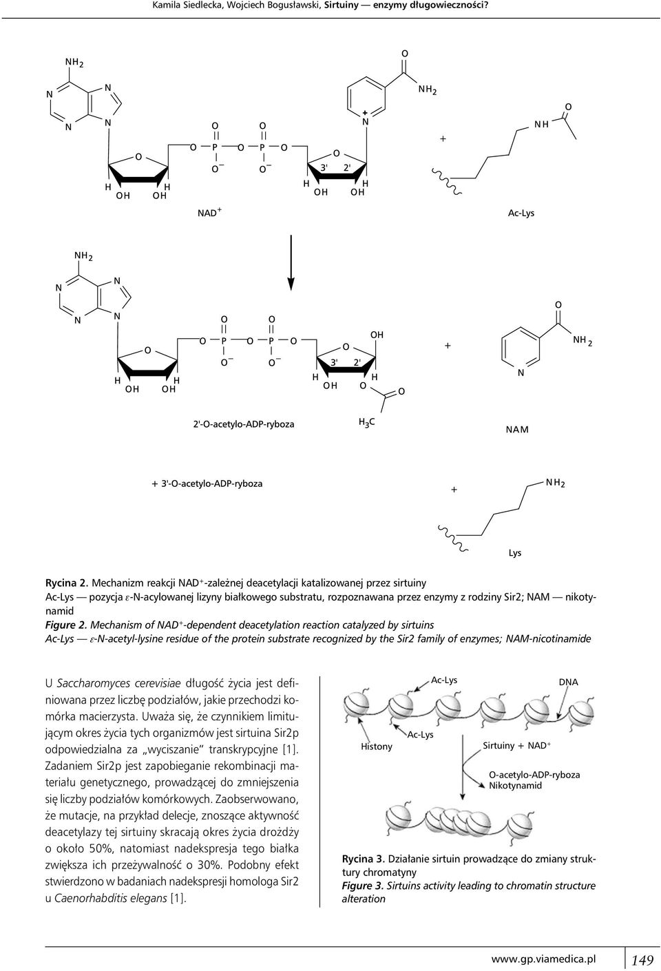 2. Mechanism of NAD + -dependent deacetylation reaction catalyzed by sirtuins Ac-Lys e-n-acetyl-lysine residue of the protein substrate recognized by the Sir2 family of enzymes; NAM-nicotinamide U
