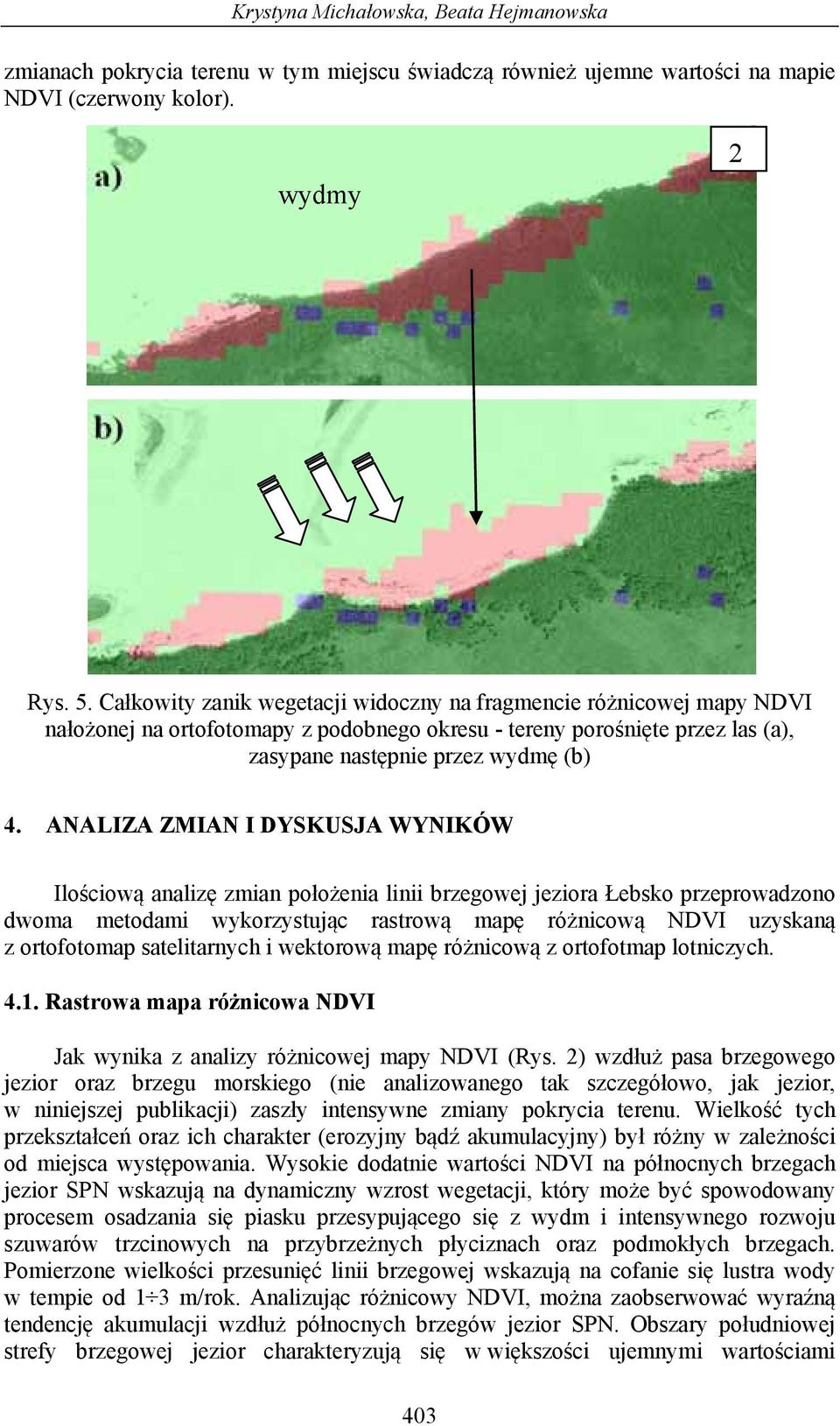 ANALIZA ZMIAN I DYSKUSJA WYNIKÓW Ilościową analizę zmian położenia linii brzegowej jeziora Łebsko przeprowadzono dwoma metodami wykorzystując rastrową mapę różnicową NDVI uzyskaną z ortofotomap
