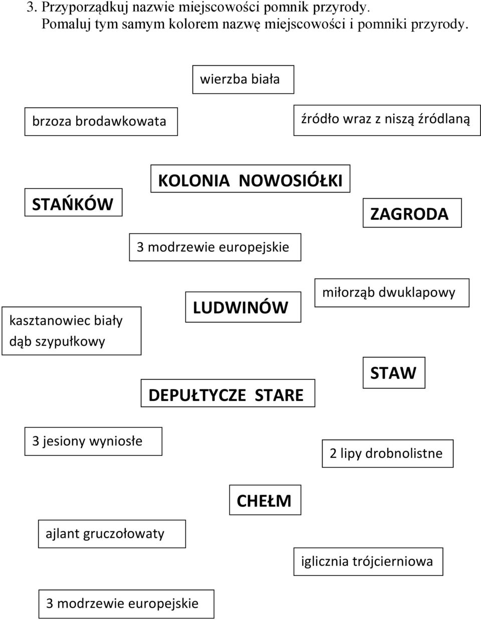 wierzba biała brzoza brodawkowata źródło wraz z niszą źródlaną STAŃKÓW KOLONIA NOWOSIÓŁKI 3 modrzewie