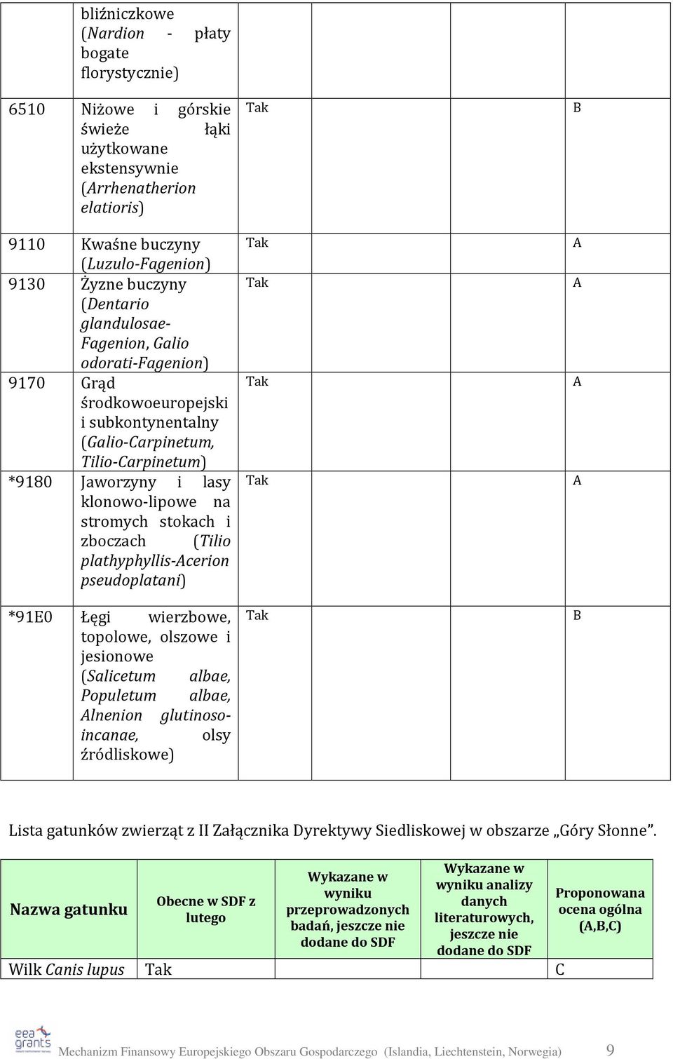 i zboczach (Tilio plathyphyllis-acerion pseudoplatani) *91E0 Łęgi wierzbowe, topolowe, olszowe i jesionowe (Salicetum albae, Populetum albae, Alnenion glutinosoincanae, olsy źródliskowe) Tak Tak Tak