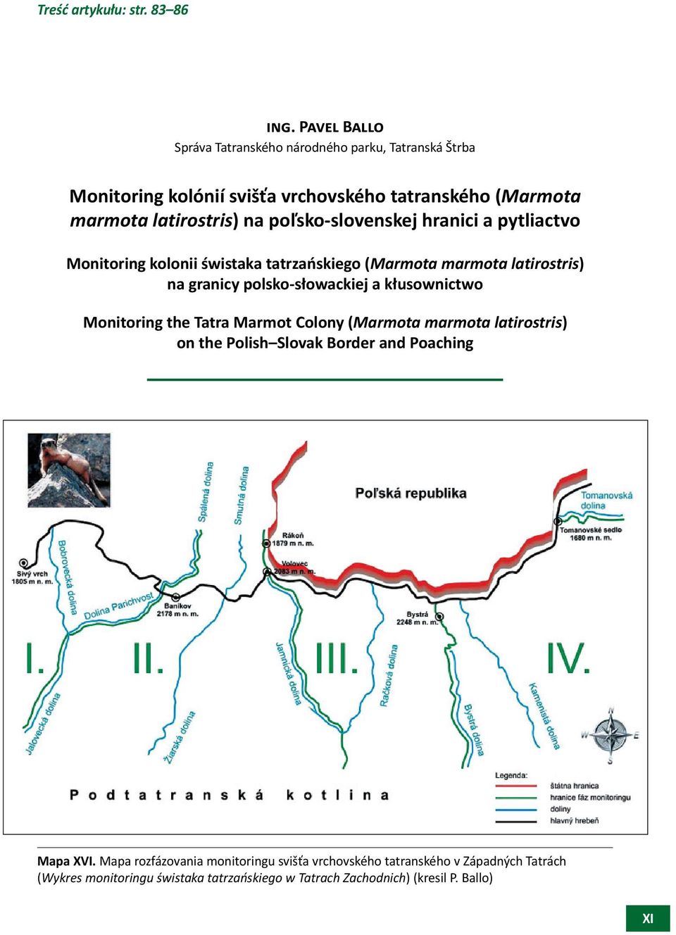 poľsko-slovenskej hranici a pytliactvo Monitoring kolonii świstaka tatrzańskiego (Marmota marmota latirostris) na granicy polsko-słowackiej a