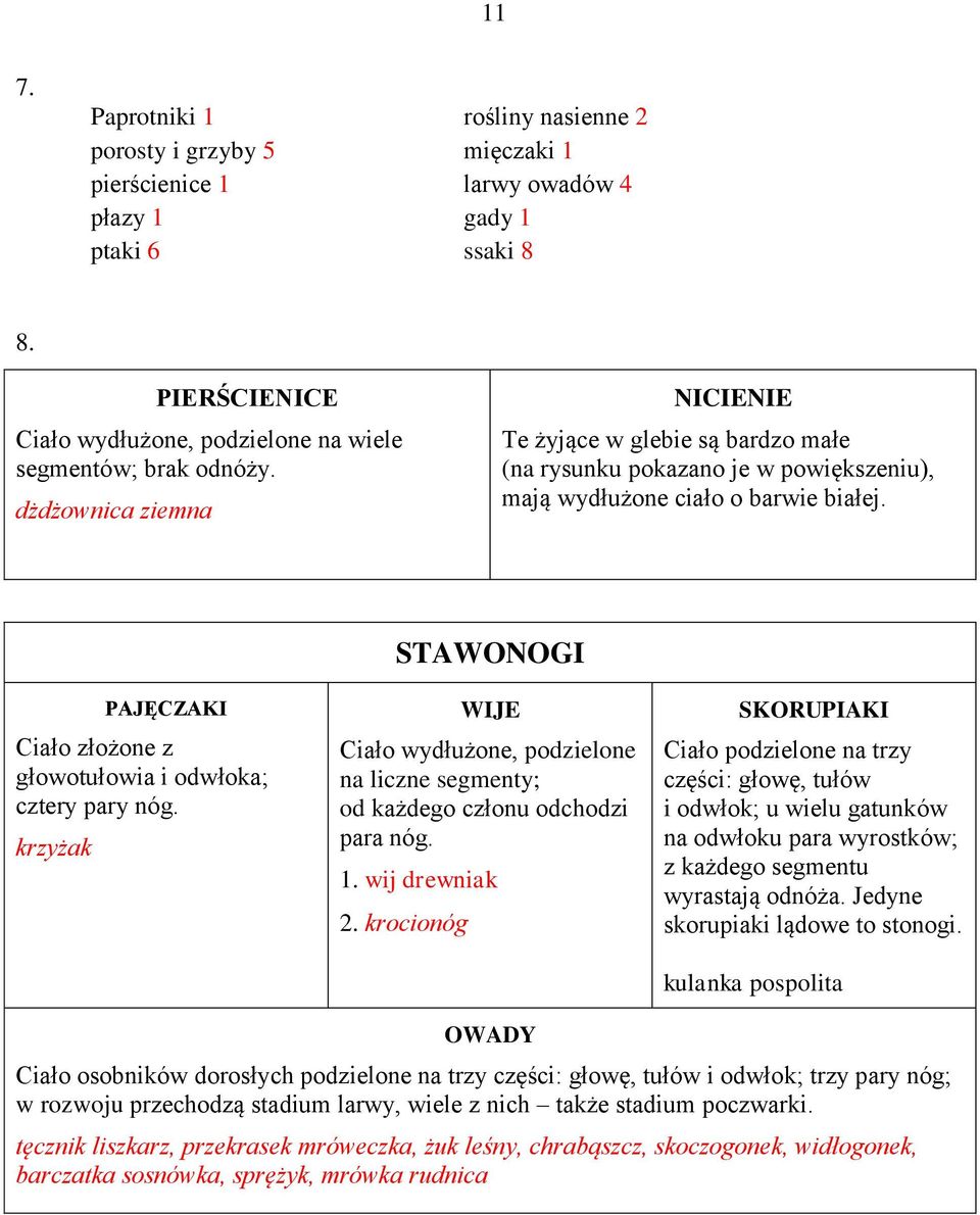 dżdżownica ziemna NICIENIE Te żyjące w glebie są bardzo małe (na rysunku pokazano je w powiększeniu), mają wydłużone ciało o barwie białej.