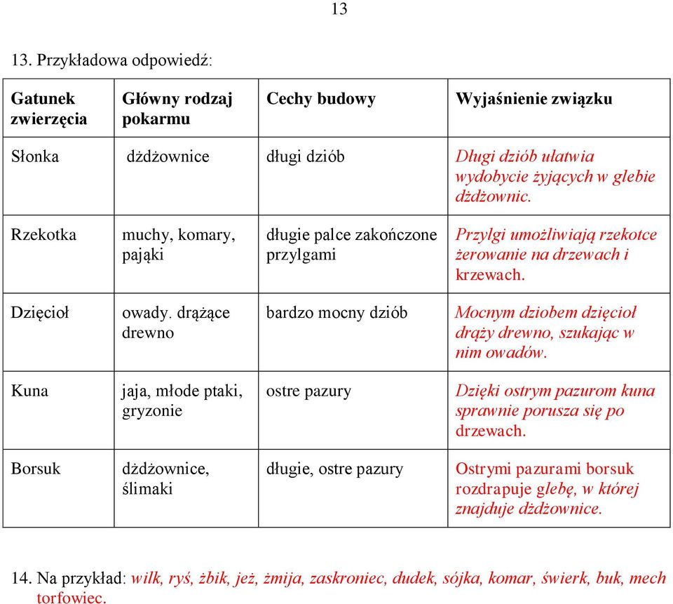 drążące drewno bardzo mocny dziób Mocnym dziobem dzięcioł drąży drewno, szukając w nim owadów.