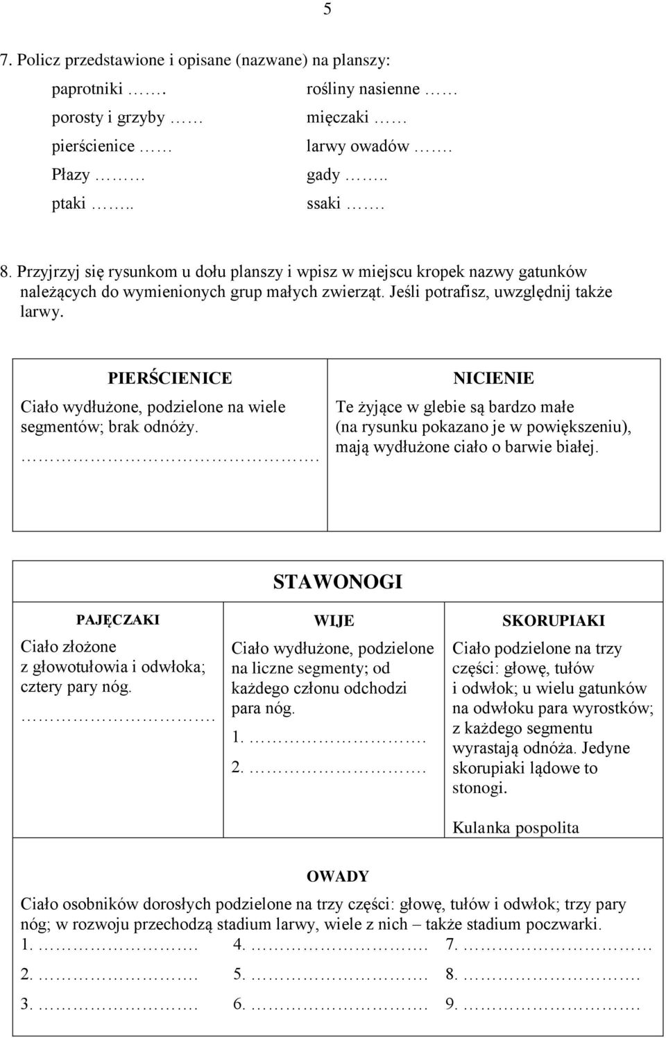 PIERŚCIENICE Ciało wydłużone, podzielone na wiele segmentów; brak odnóży.. NICIENIE Te żyjące w glebie są bardzo małe (na rysunku pokazano je w powiększeniu), mają wydłużone ciało o barwie białej.