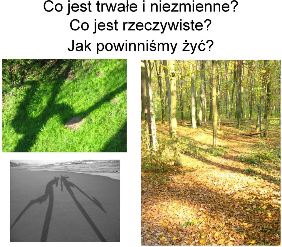 Co jest