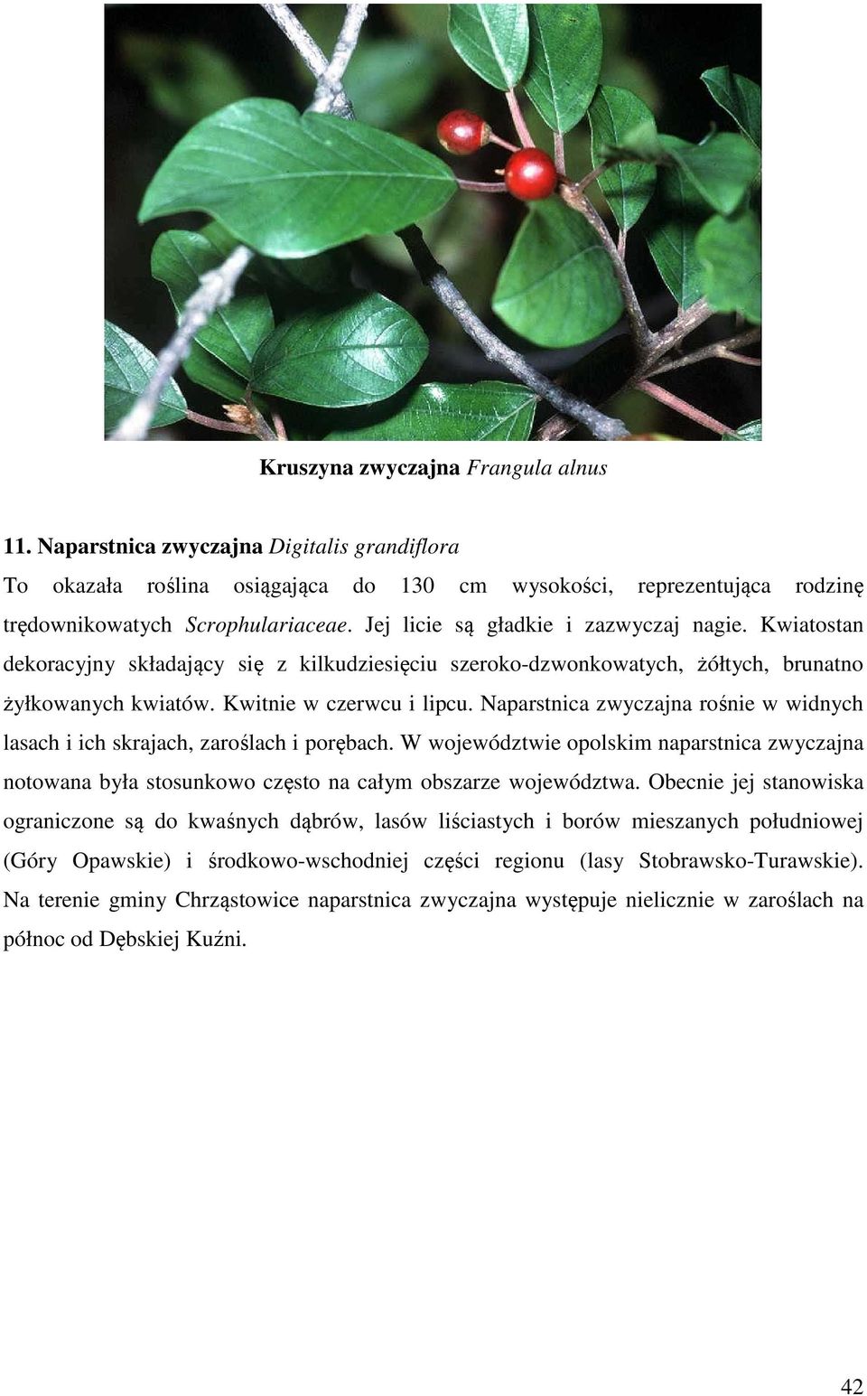 Naparstnica zwyczajna rośnie w widnych lasach i ich skrajach, zaroślach i porębach. W województwie opolskim naparstnica zwyczajna notowana była stosunkowo często na całym obszarze województwa.