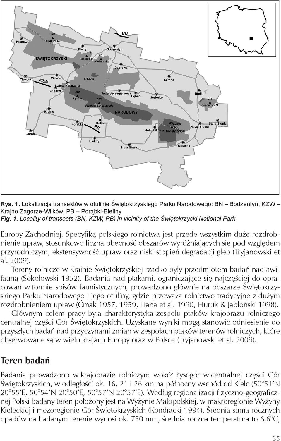 degradacji gleb (Tryjanowski et al. 2009). Tereny rolnicze w Krainie Świętokrzyskiej rzadko były przedmiotem badań nad awifauną (Sokołowski 1952).