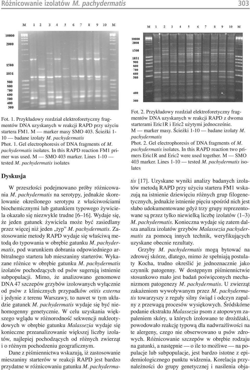 Lines 1 10 tested M. pachydermatis isolates Dyskusja W przeszłości podejmowano próby różnicowa nia M.