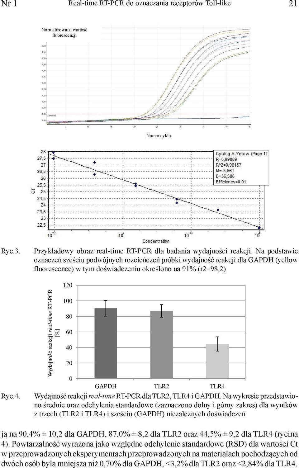 Przykładowy fluorescence) obraz real-time w tym doświadczeniu RT-PCR dla badania określono wydajności na 91% reakcji.