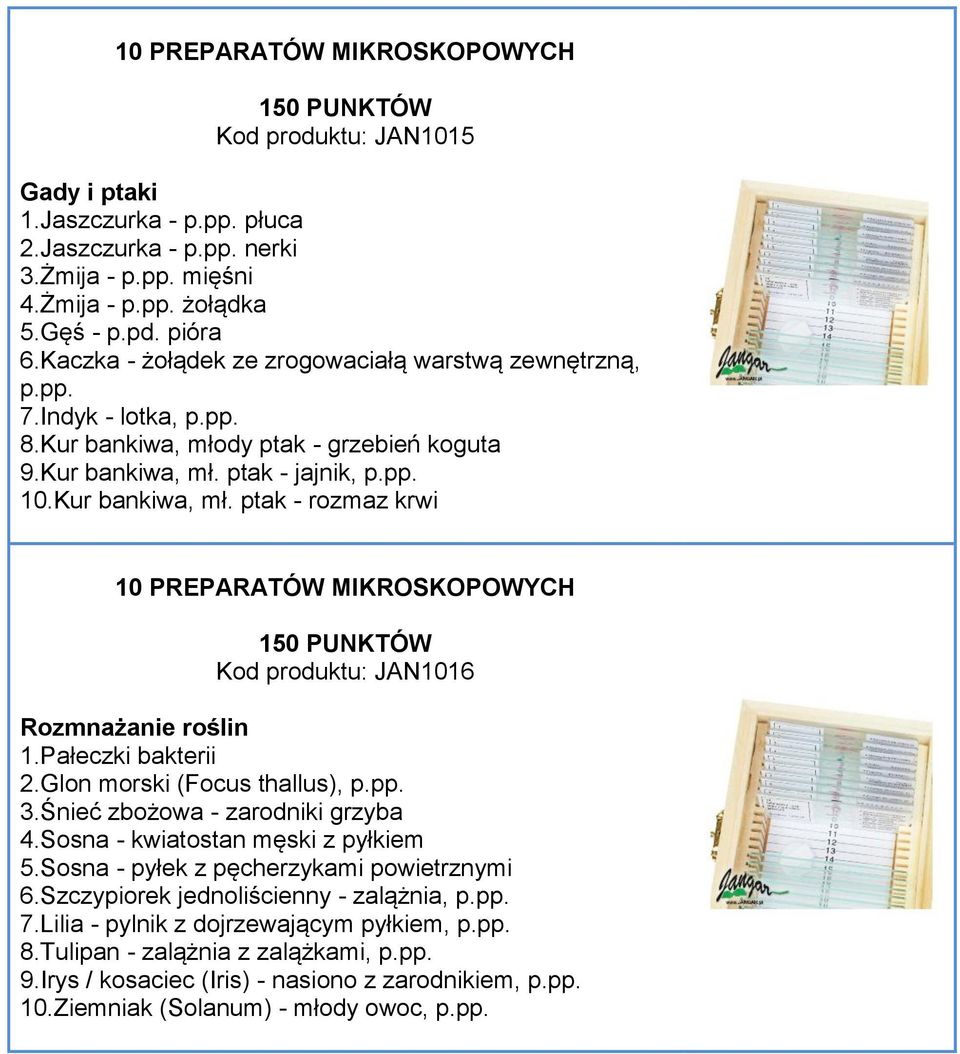 Pałeczki bakterii 2.Glon morski (Focus thallus), p.pp. 3.Śnieć zbożowa - zarodniki grzyba 4.Sosna - kwiatostan męski z pyłkiem 5.Sosna - pyłek z pęcherzykami powietrznymi 6.