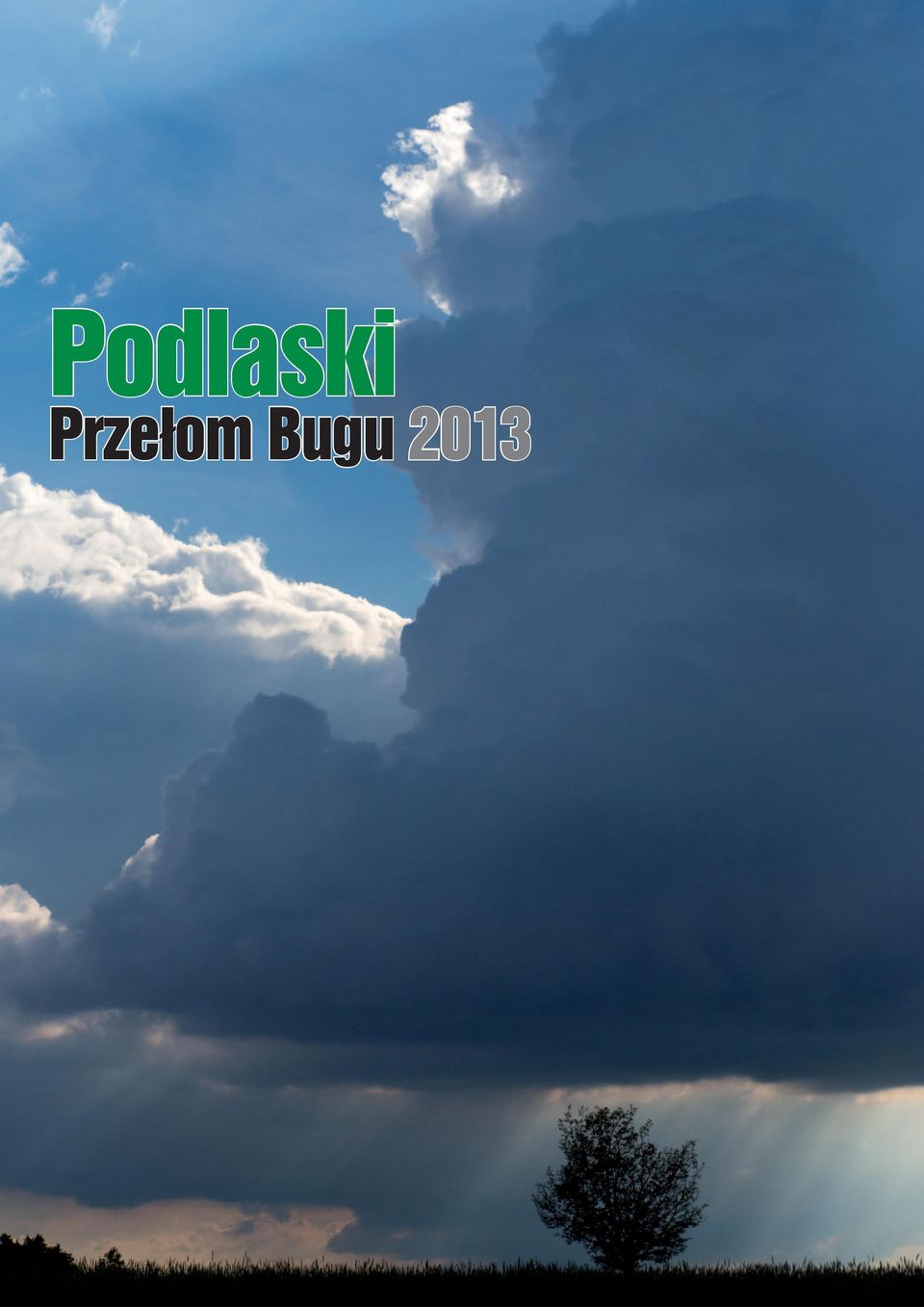 Bugu 2013