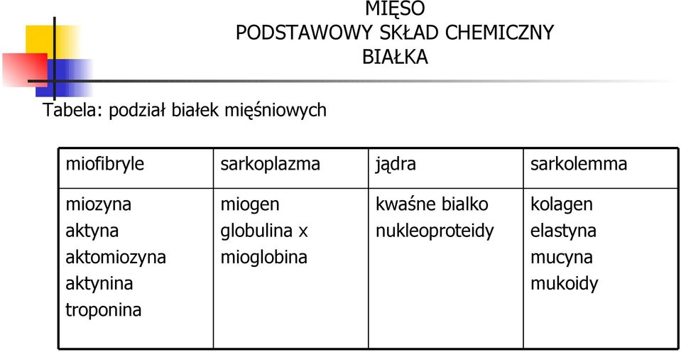 aktyna aktomiozyna aktynina troponina miogen globulina x