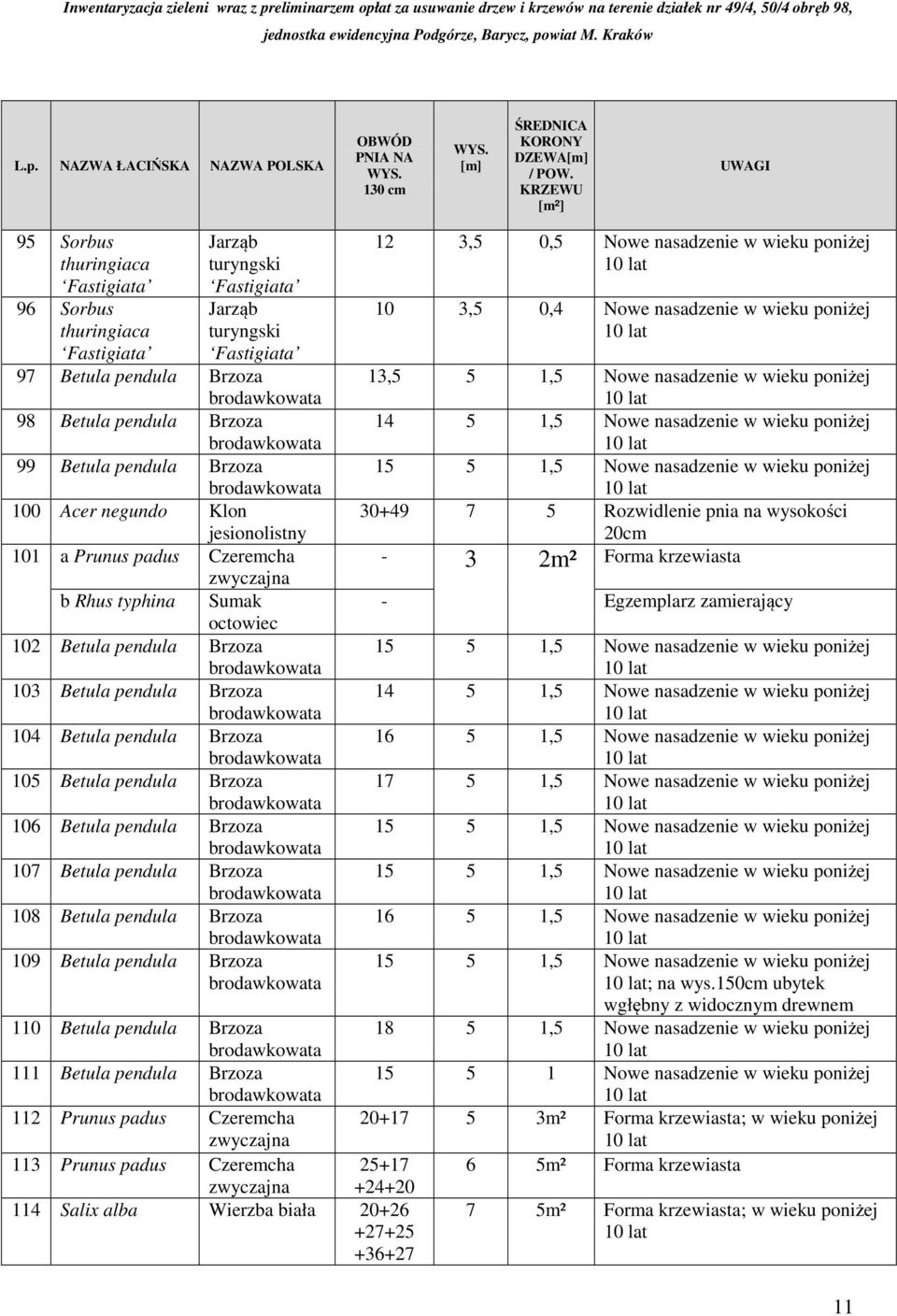 jesionolistny 101 a Prunus padus Czeremcha b Rhus typhina Sumak octowiec 102 Betula pendula Brzoza 103 Betula pendula Brzoza 104 Betula pendula Brzoza 105 Betula pendula Brzoza 106 Betula pendula