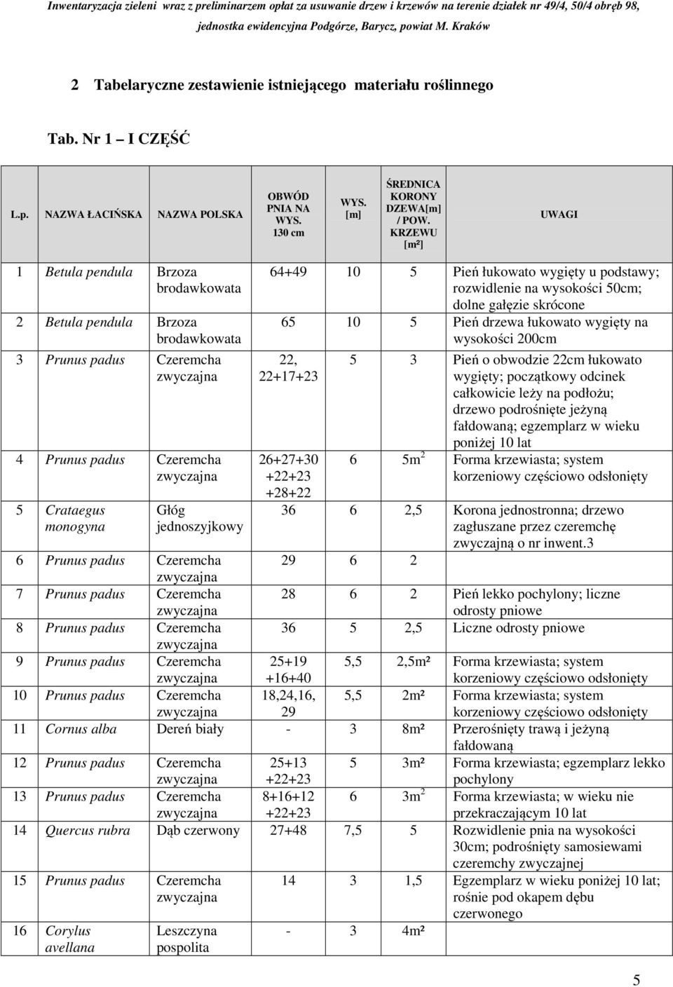 podstawy; rozwidlenie na wysokości 50cm; dolne gałęzie skrócone 65 10 5 Pień drzewa łukowato wygięty na wysokości 200cm 22, 22+17+23 26+27+30 +22+23 +28+22 5 3 Pień o obwodzie 22cm łukowato wygięty;