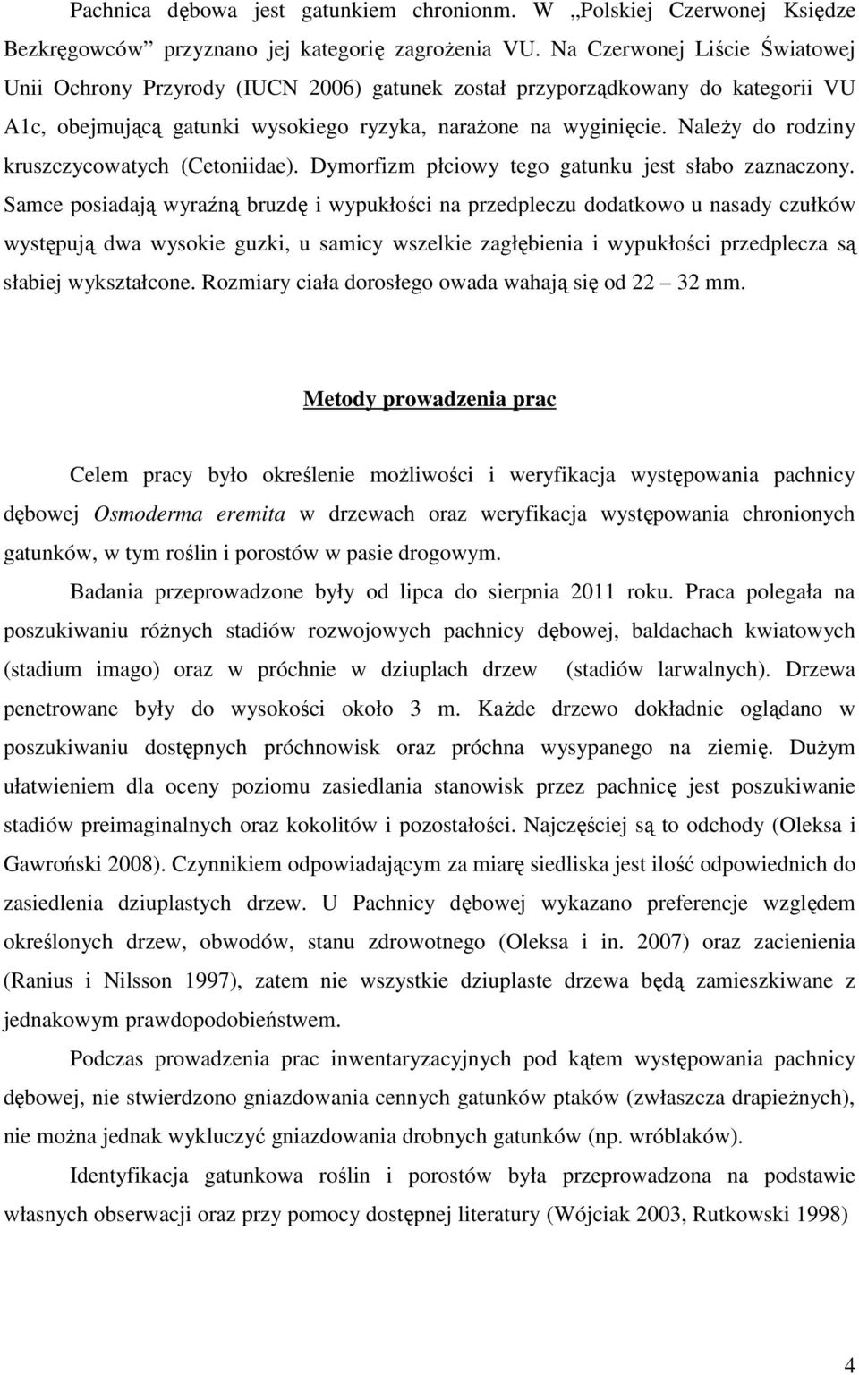 Należy do rodziny kruszczycowatych (Cetoniidae). Dymorfizm płciowy tego gatunku jest słabo zaznaczony.