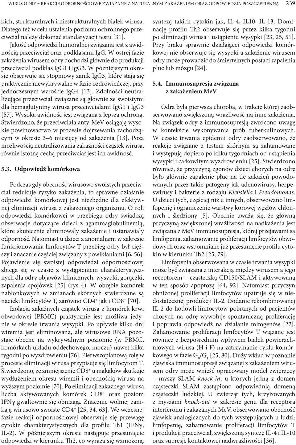 W ostrej fazie zakażenia wirusem odry dochodzi głównie do produkcji przeciwciał podklas IgG1 i IgG3.