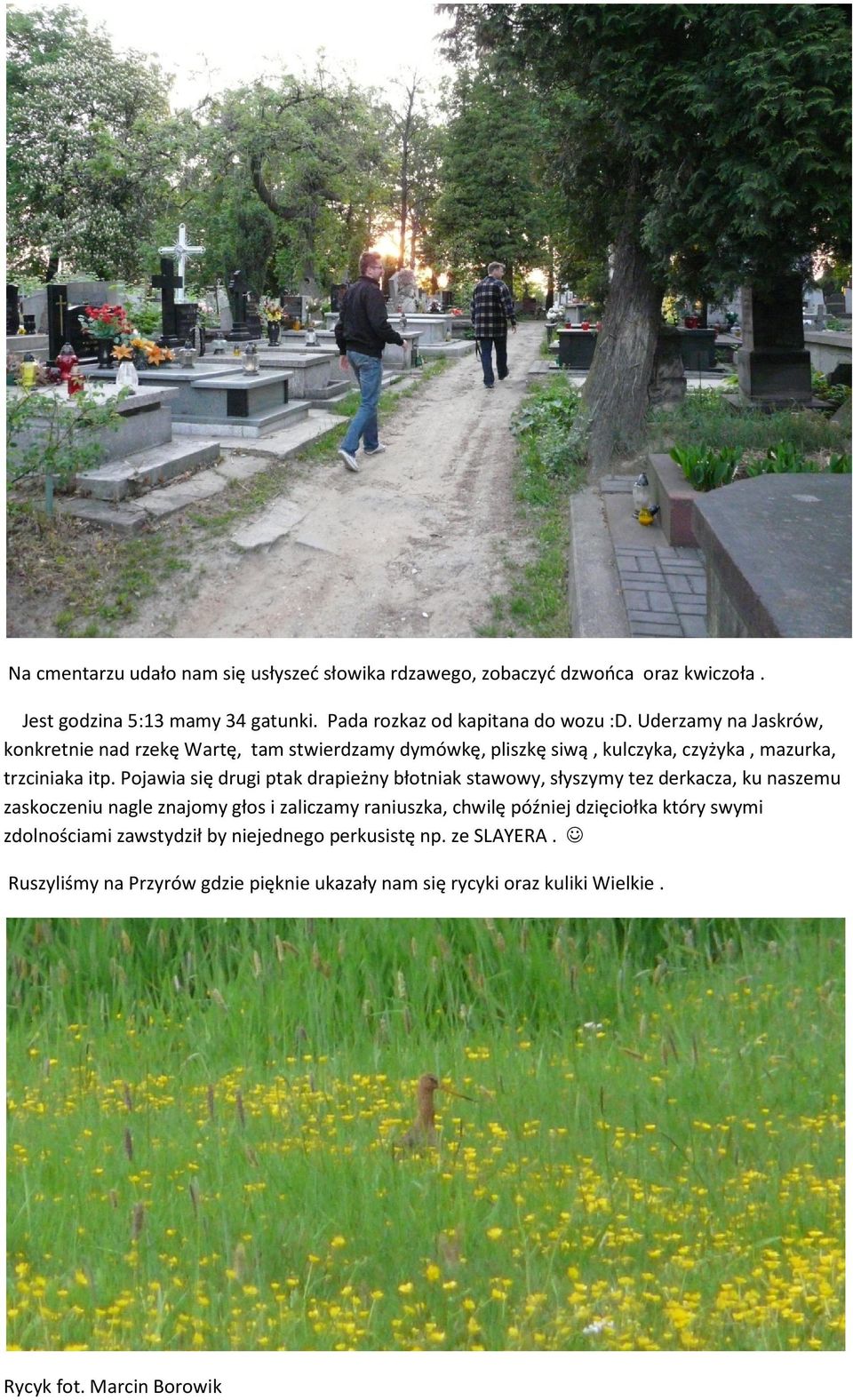 Pojawia się drugi ptak drapieżny błotniak stawowy, słyszymy tez derkacza, ku naszemu zaskoczeniu nagle znajomy głos i zaliczamy raniuszka, chwilę później