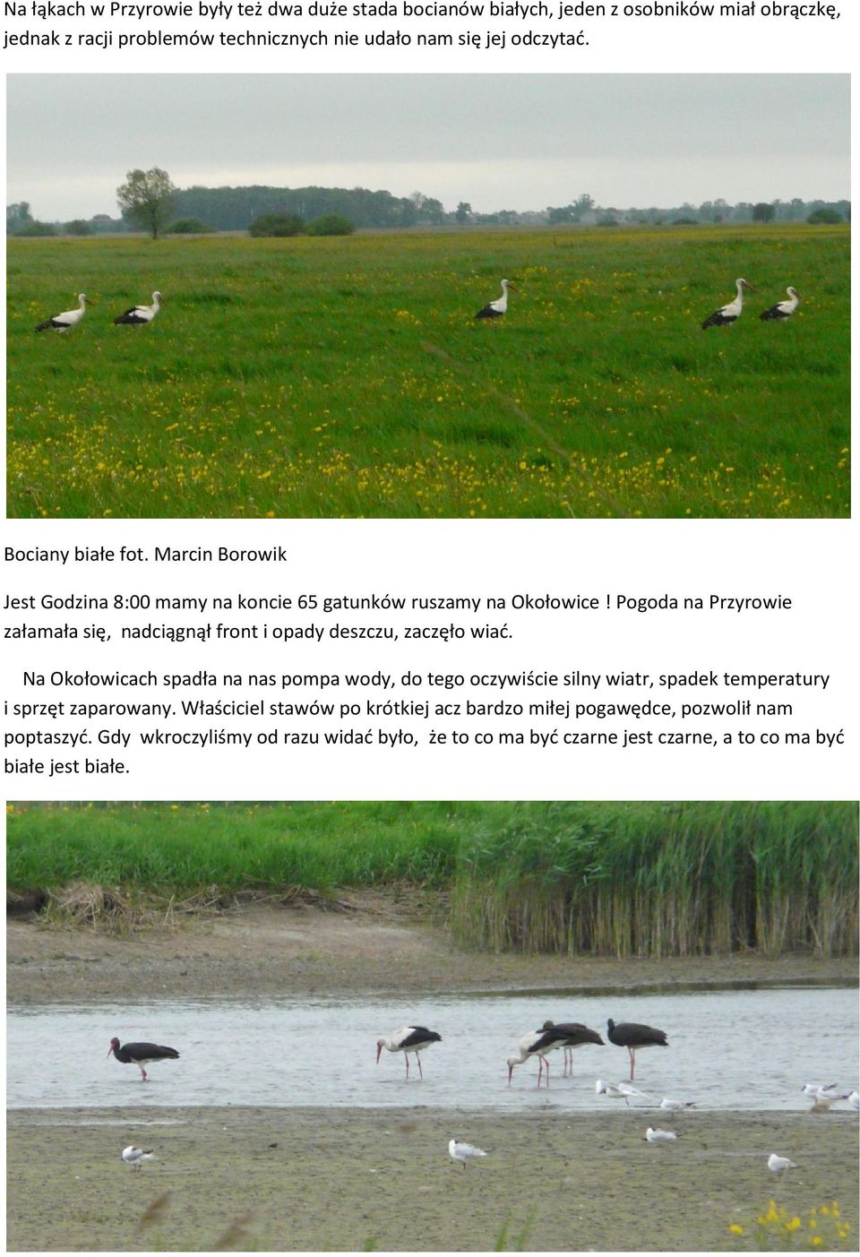 Pogoda na Przyrowie załamała się, nadciągnął front i opady deszczu, zaczęło wiać.